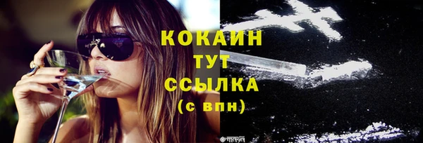СК Заречный