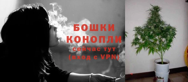 амф Пересвет