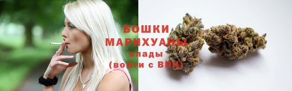 ПСИЛОЦИБИНОВЫЕ ГРИБЫ Пестово