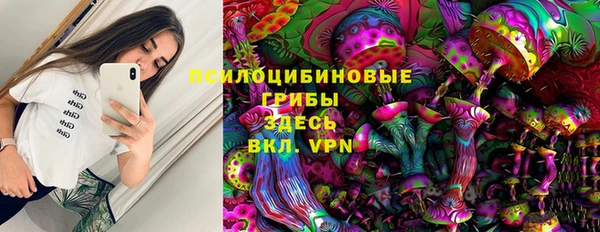 ПСИЛОЦИБИНОВЫЕ ГРИБЫ Пестово
