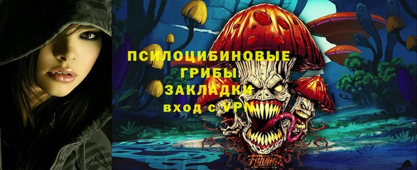 амф Пересвет