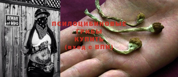 амф Пересвет