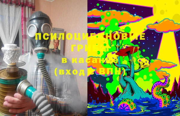 амф Пересвет