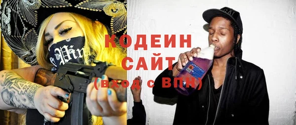 амф Пересвет