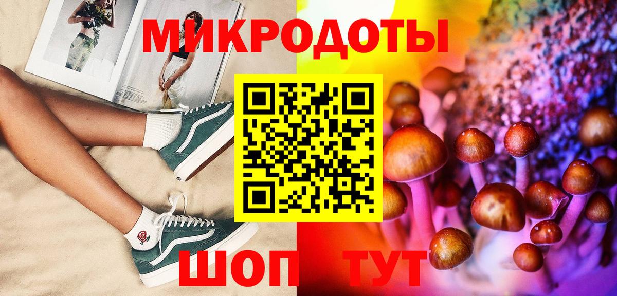 где найти наркотики  Псилоцибиновые грибы мухоморы  Вход с VPN  Канаш 