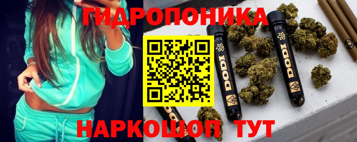 МЕФ Канаш
